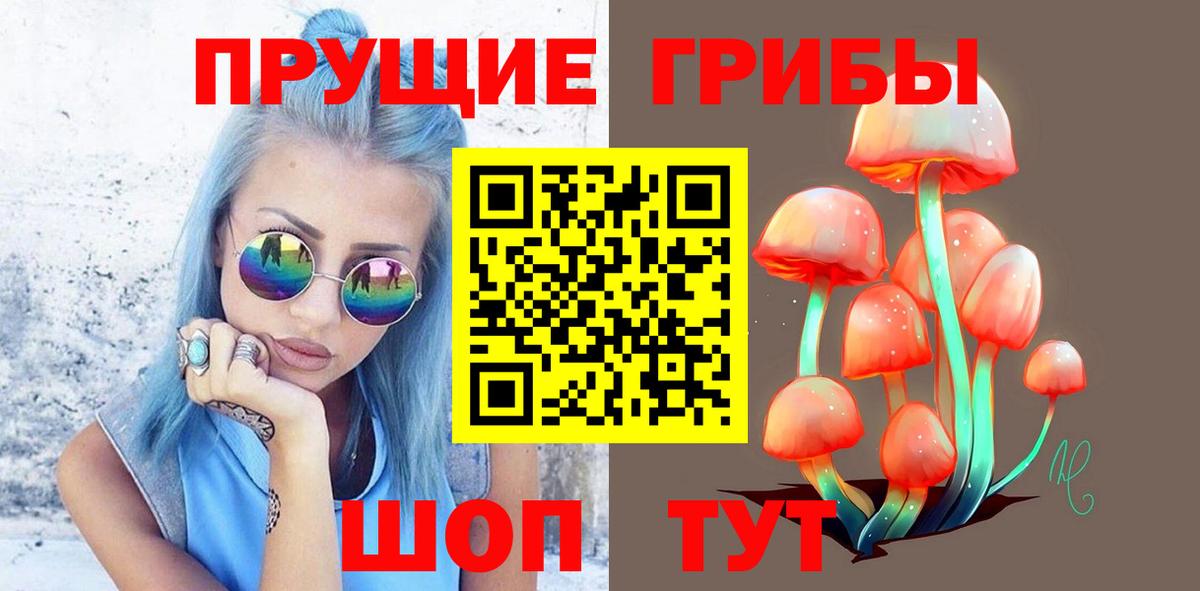 Галлюциногенные грибы MAGIC MUSHROOMS  Вход с VPN  Псилоцибиновые грибы Magic Shrooms  Соль-Илецк 