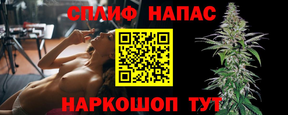 Бошки марихуана сатива  Вход с VPN  Марихуана планчик  Соль-Илецк 