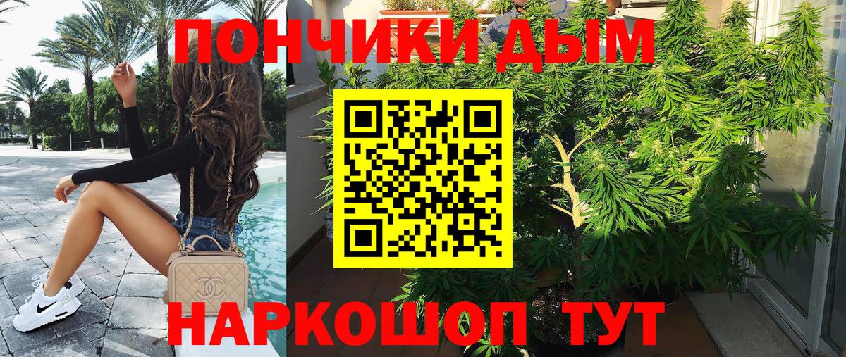 Бошки марихуана OG Kush Соль-Илецк